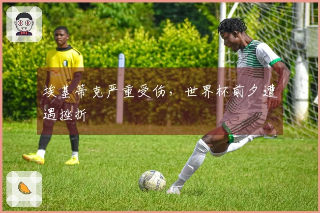 埃基蒂克严重受伤，世界杯前夕遭遇挫折